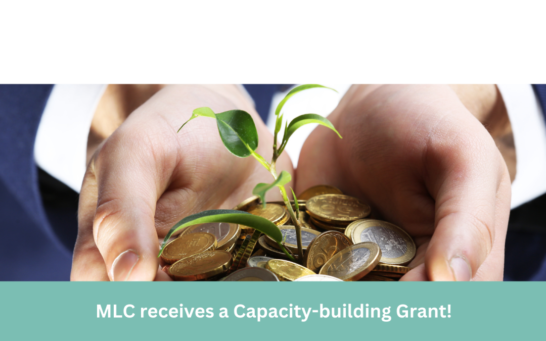 Community Foundation of Sarasota County awards $10,000 grant to Manatee Literacy